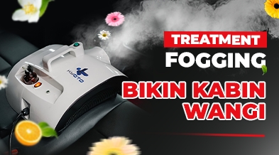 Treatment Fogging